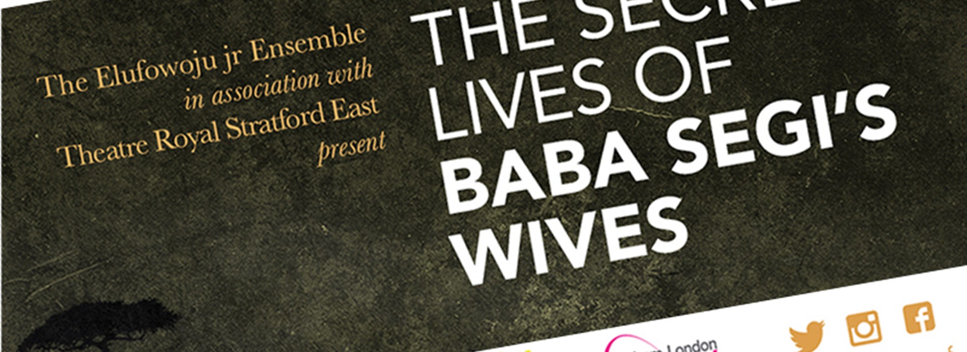 The Secret Lives of Baba Segi's Wives