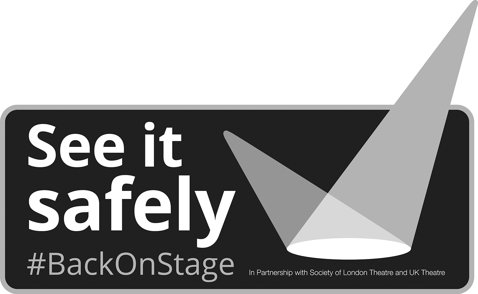 See it Safely Logo